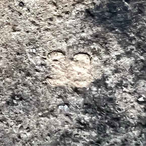 Zimmermann White Chubby Terry Towel Recreation Slides Slip On Sandals Women’s 38 - Picture 15 of 16